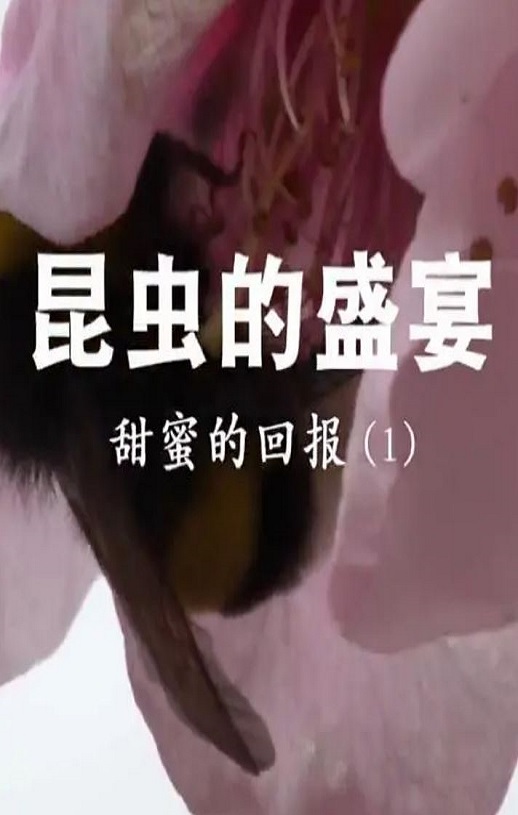 ʢ