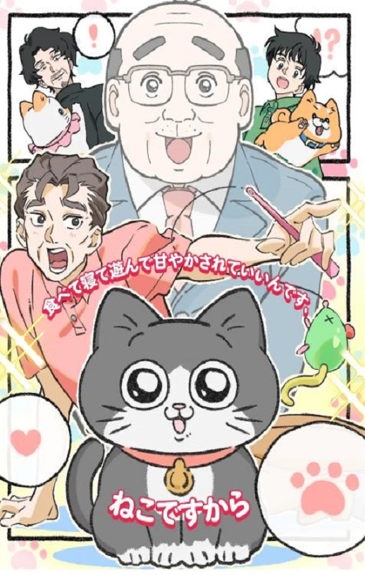 转生成猫的大叔
