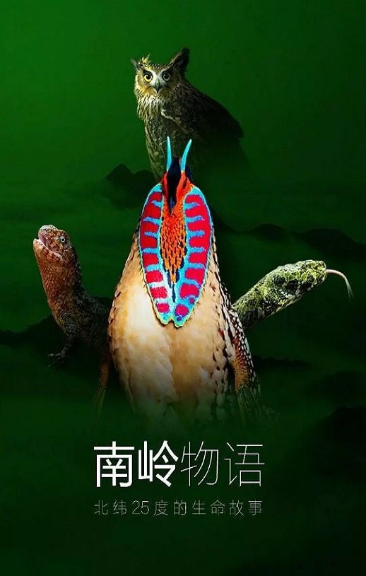 南岭物语