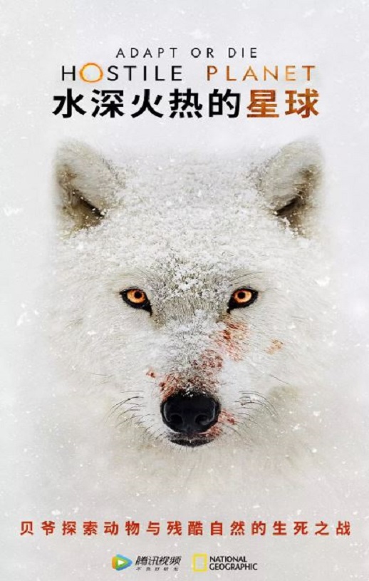 水深火热的星球